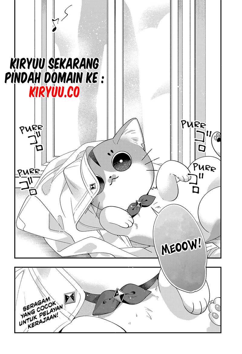Miyaou Tarou ga Neko wo Kau Nante Chapter 6 - halaman 14