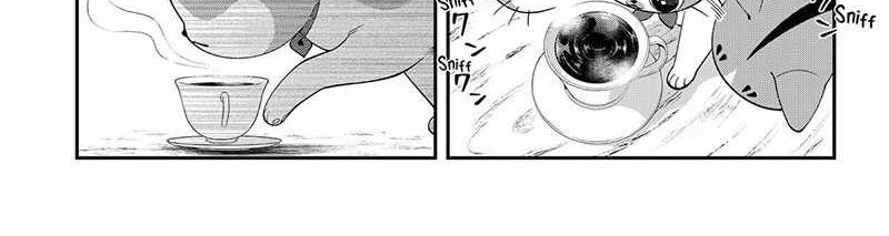 Miyaou Tarou ga Neko wo Kau Nante Chapter 8 - halaman 8