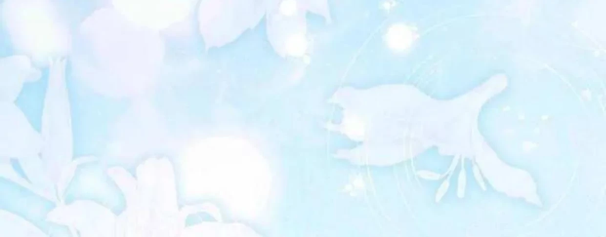 Mother’s Contract Marriage Chapter 74 - halaman 47