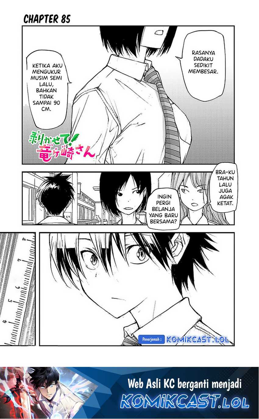 Mukasete! Ryugasaki-san Chapter 85 - halaman 2