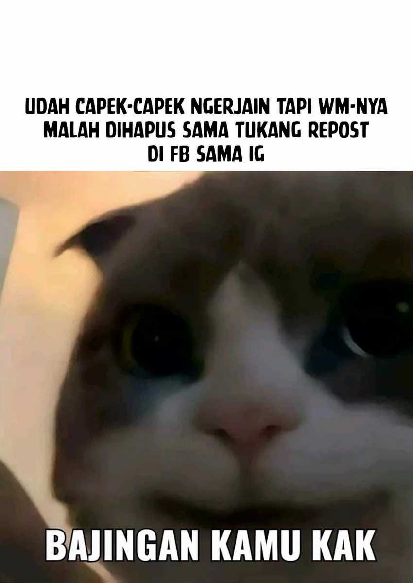My Fake Girlfriends are Using Me As a Shield Chapter 72 - halaman 42