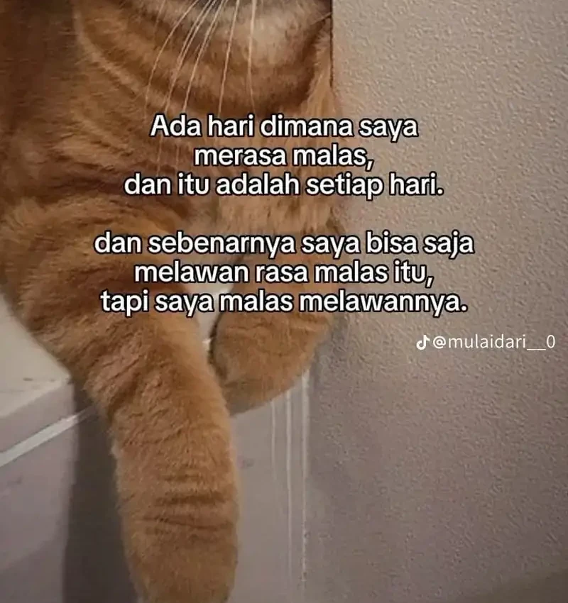 My Wife Is a Heavenly Big Shot Chapter 42 - halaman 43