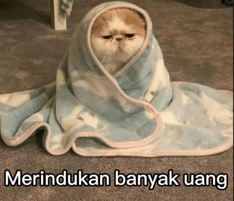 My Wife Is a Heavenly Big Shot Chapter 51 - halaman 29