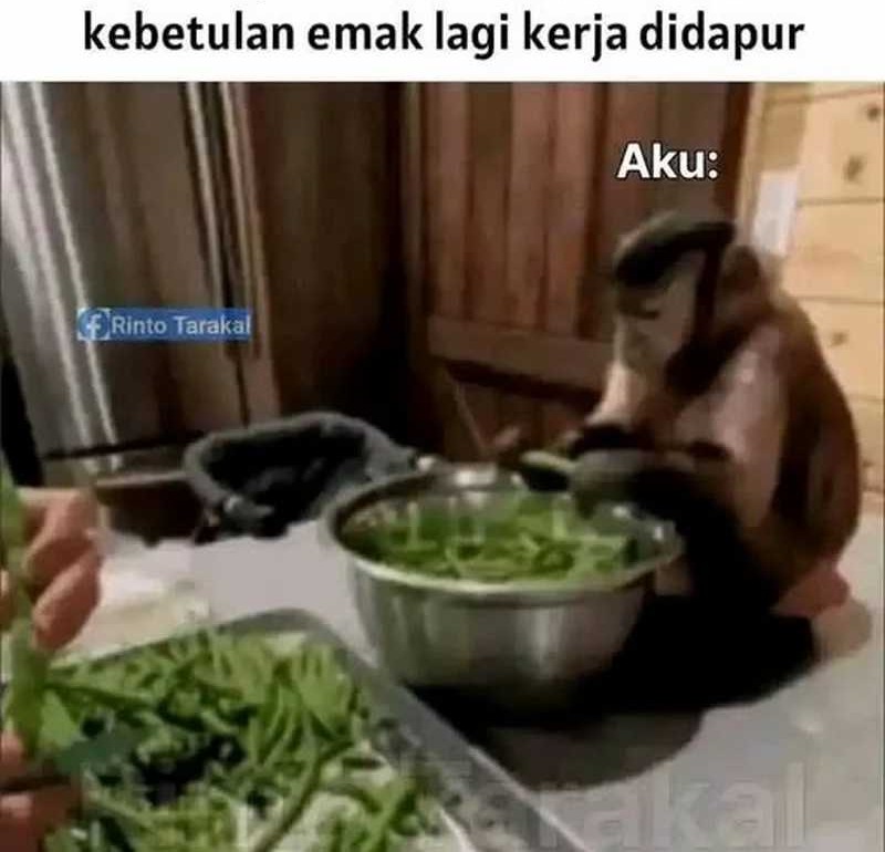 My Wife Is From a Thousand Years Ago Chapter 359 - halaman 50
