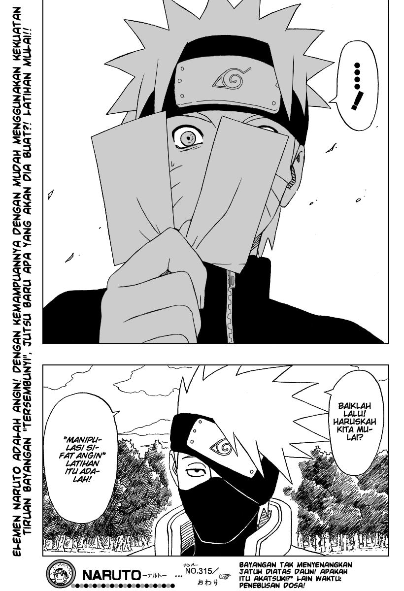Naruto Chapter 315 - halaman 17