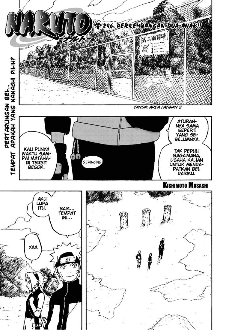 Naruto Chapter 246 - halaman 1