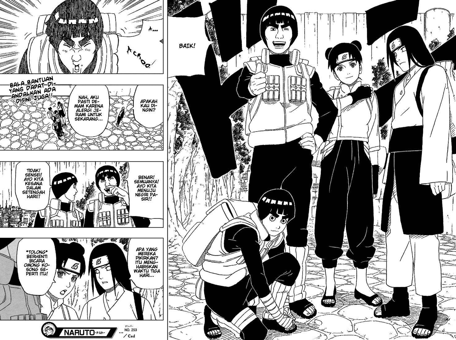 Naruto Chapter 253 - halaman 19