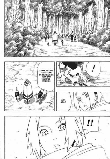 Naruto Chapter 355 - halaman 13