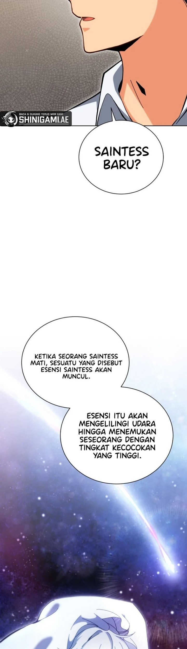 Necromancer Academy’s Genius Summoner Chapter 156 - halaman 11