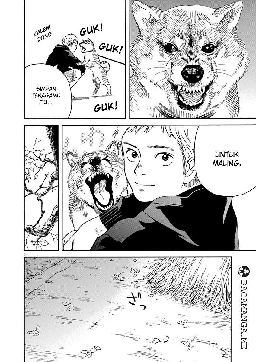 Neko no Otera no Chion-san Chapter 13 - halaman 2