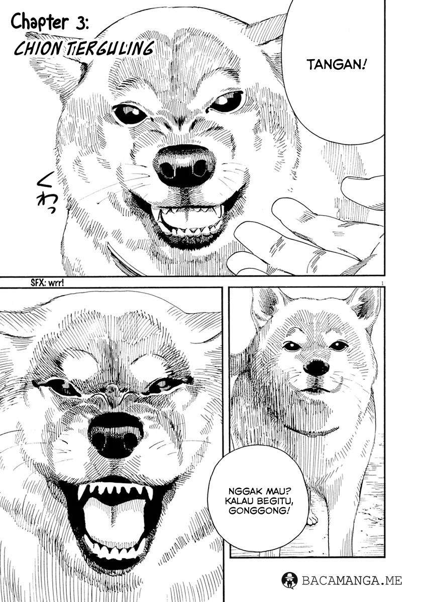 Neko no Otera no Chion-san Chapter 3 - halaman 3