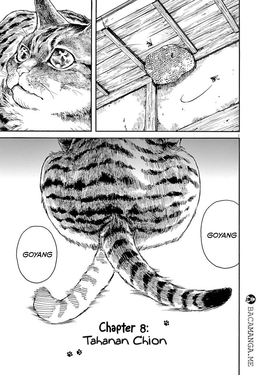 Neko no Otera no Chion-san Chapter 8 - halaman 2