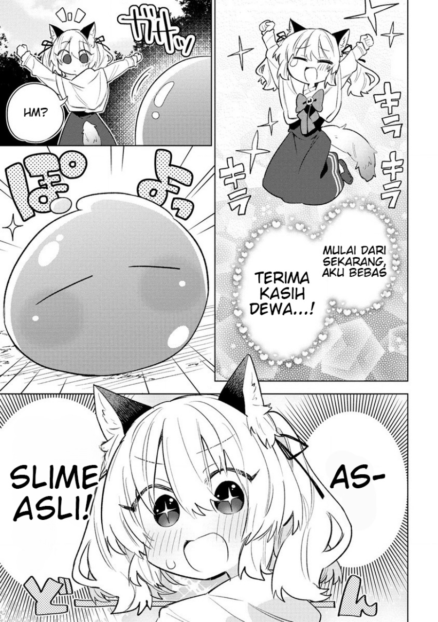 Nekomimi Shoujo wa Mori de Slow Life wo Okuritai: Mofumofu wa Shomou shimashita ga, Seijo toka Oujisama toka wa Chuumongai desu Chapter 1 - halaman 12