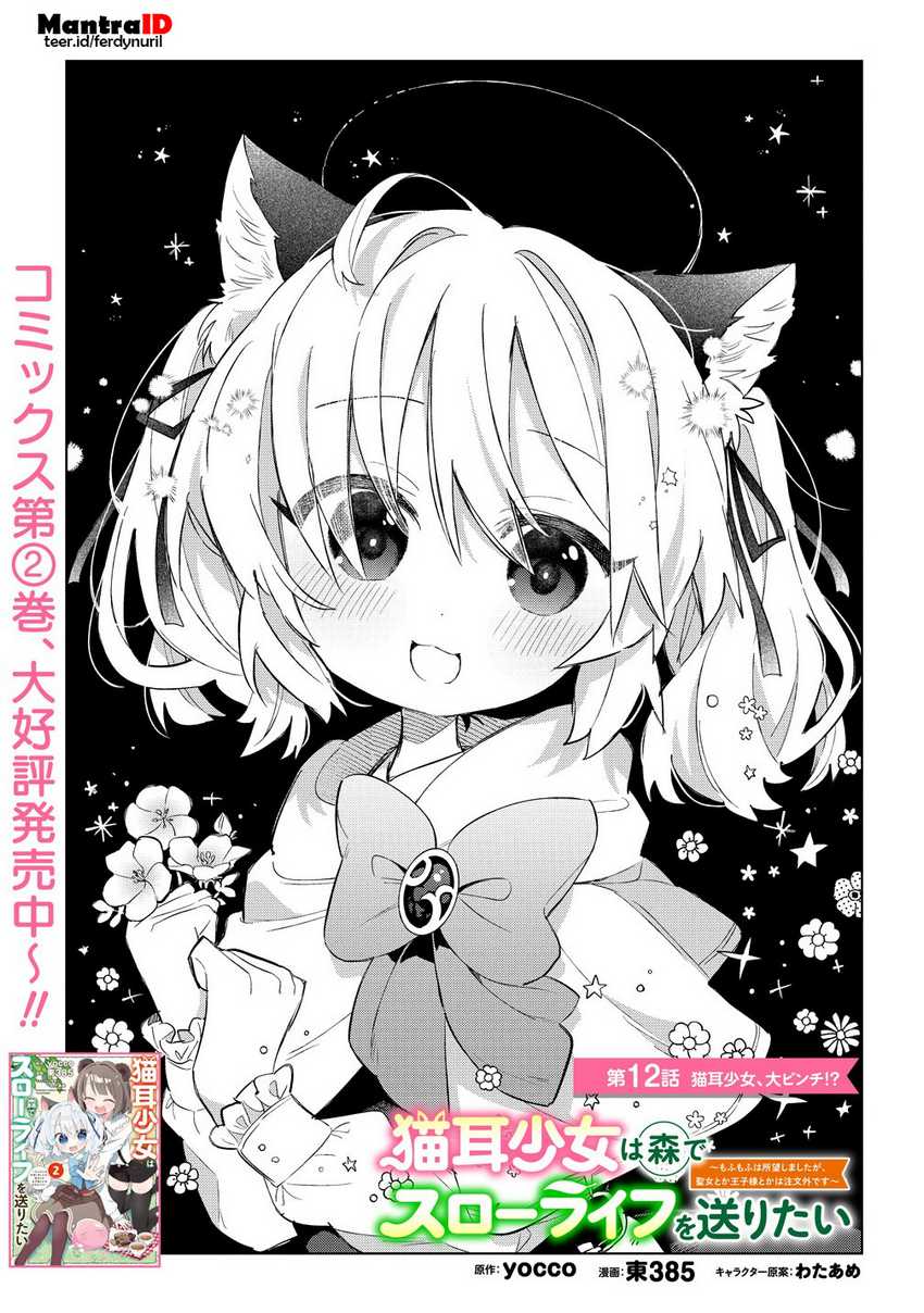 Nekomimi Shoujo wa Mori de Slow Life wo Okuritai: Mofumofu wa Shomou shimashita ga, Seijo toka Oujisama toka wa Chuumongai desu Chapter 12.1 - halaman 2