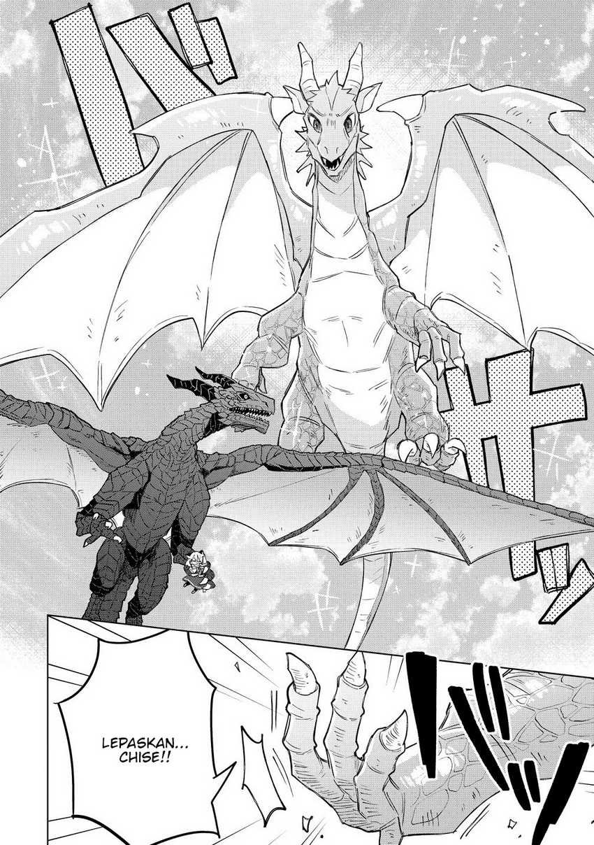 Nekomimi Shoujo wa Mori de Slow Life wo Okuritai: Mofumofu wa Shomou shimashita ga, Seijo toka Oujisama toka wa Chuumongai desu Chapter 13.1 - halaman 8