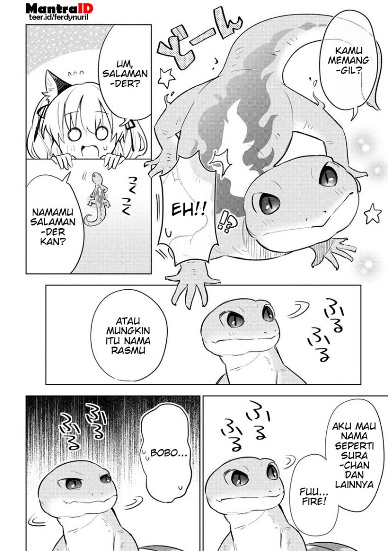 Nekomimi Shoujo wa Mori de Slow Life wo Okuritai: Mofumofu wa Shomou shimashita ga, Seijo toka Oujisama toka wa Chuumongai desu Chapter 2.1 - halaman 8