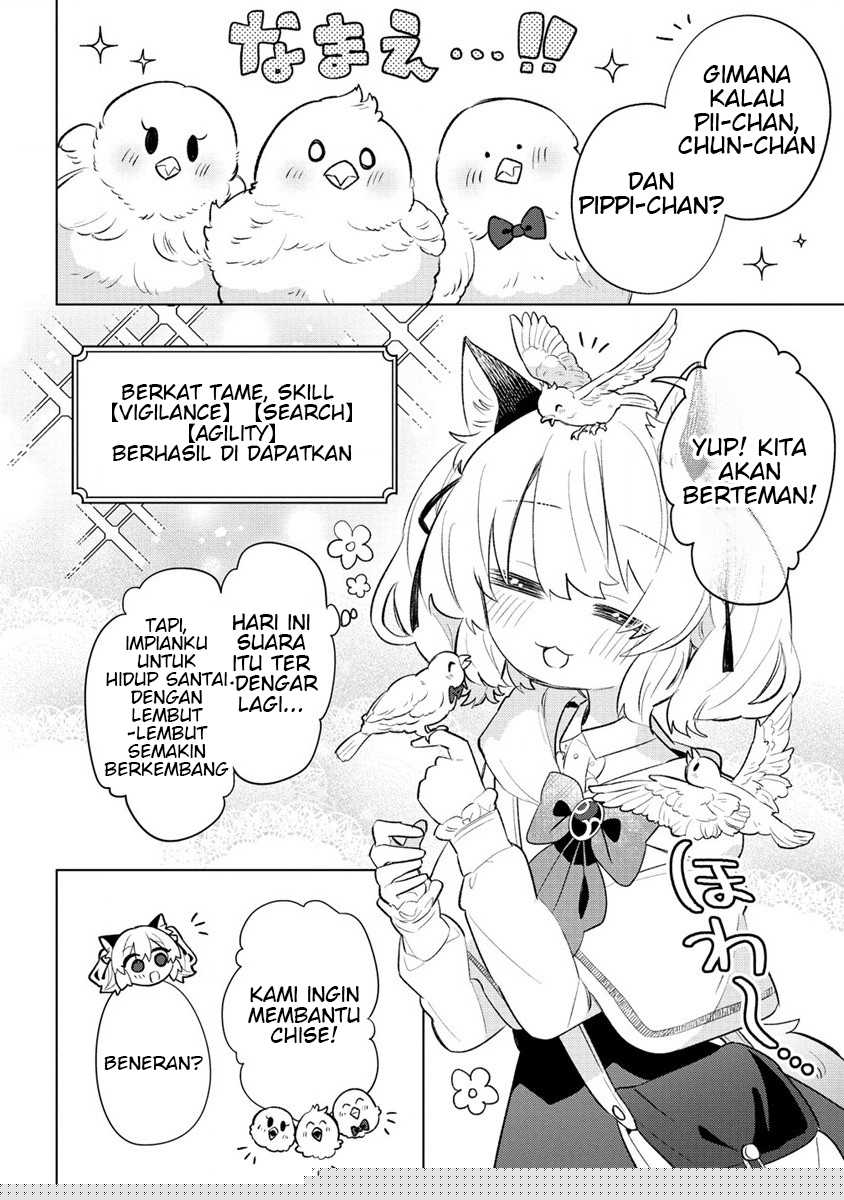 Nekomimi Shoujo wa Mori de Slow Life wo Okuritai: Mofumofu wa Shomou shimashita ga, Seijo toka Oujisama toka wa Chuumongai desu Chapter 3 - halaman 4