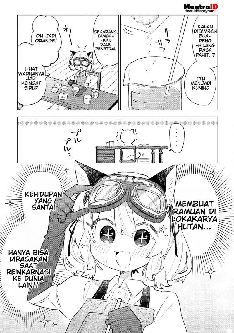 Nekomimi Shoujo wa Mori de Slow Life wo Okuritai: Mofumofu wa Shomou shimashita ga, Seijo toka Oujisama toka wa Chuumongai desu Chapter 4.1 - halaman 7