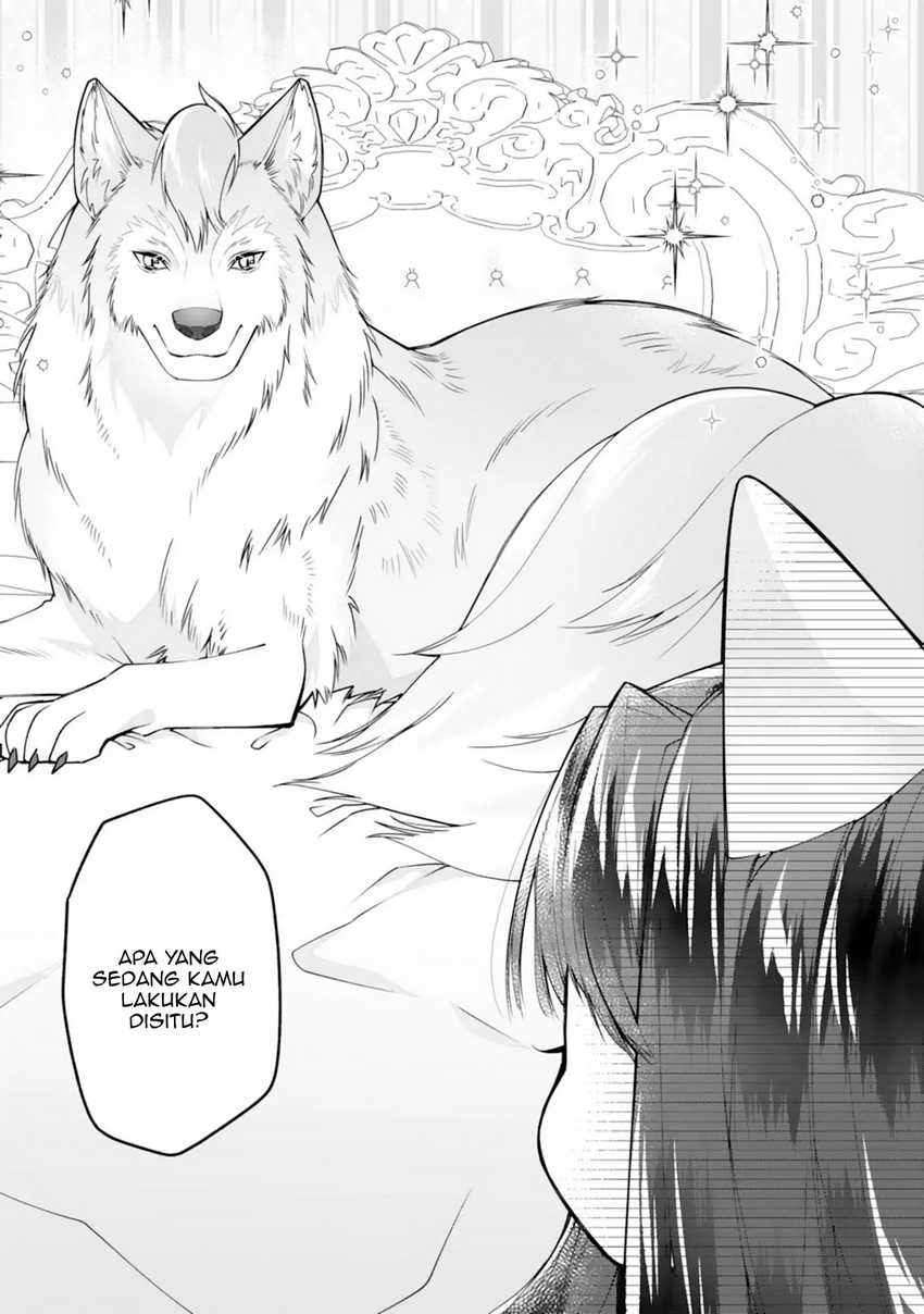 Nekoneko Youjo no Aijou Gohan: Isekai de Mofumofu-tachi ni Ryouri wo Tsukurimasu! Chapter 1 - halaman 21