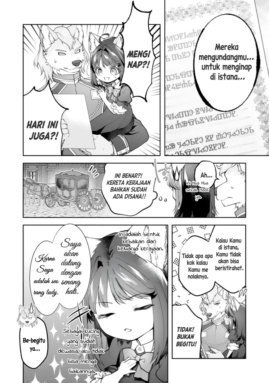 Nekoneko Youjo no Aijou Gohan: Isekai de Mofumofu-tachi ni Ryouri wo Tsukurimasu! Chapter 16 - halaman 7