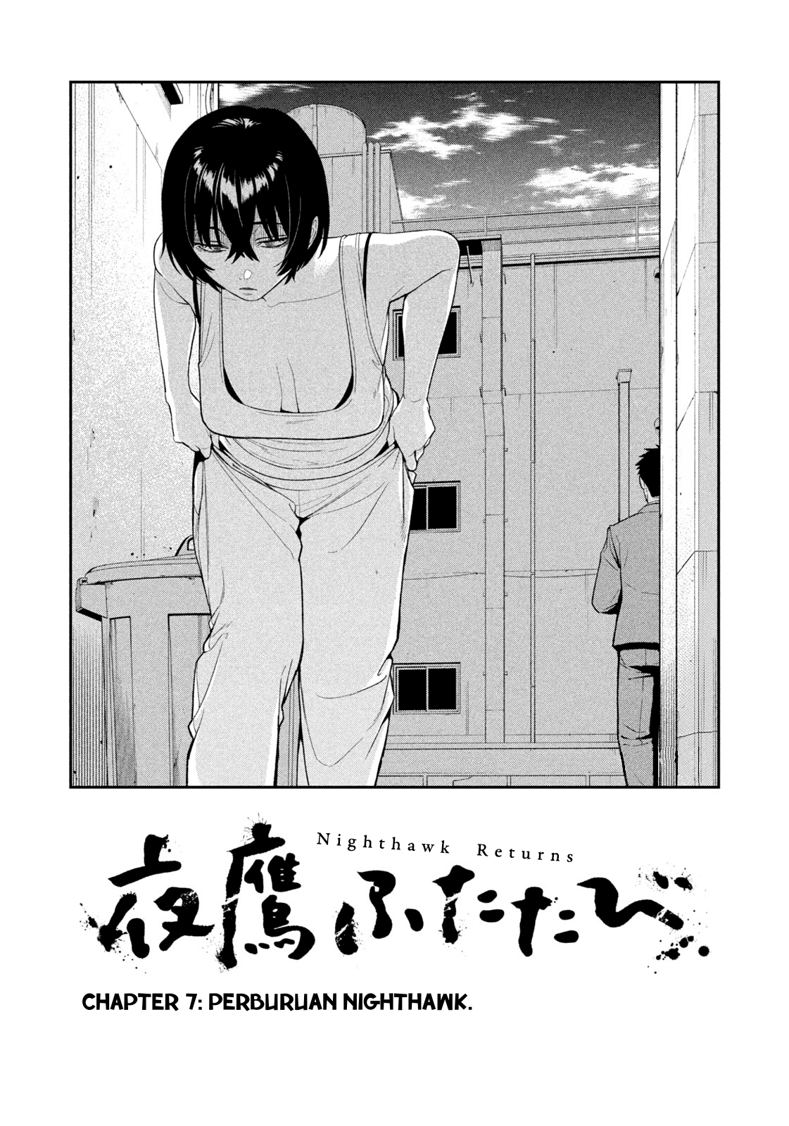 Nighthawk Returns Chapter 7 - halaman 2