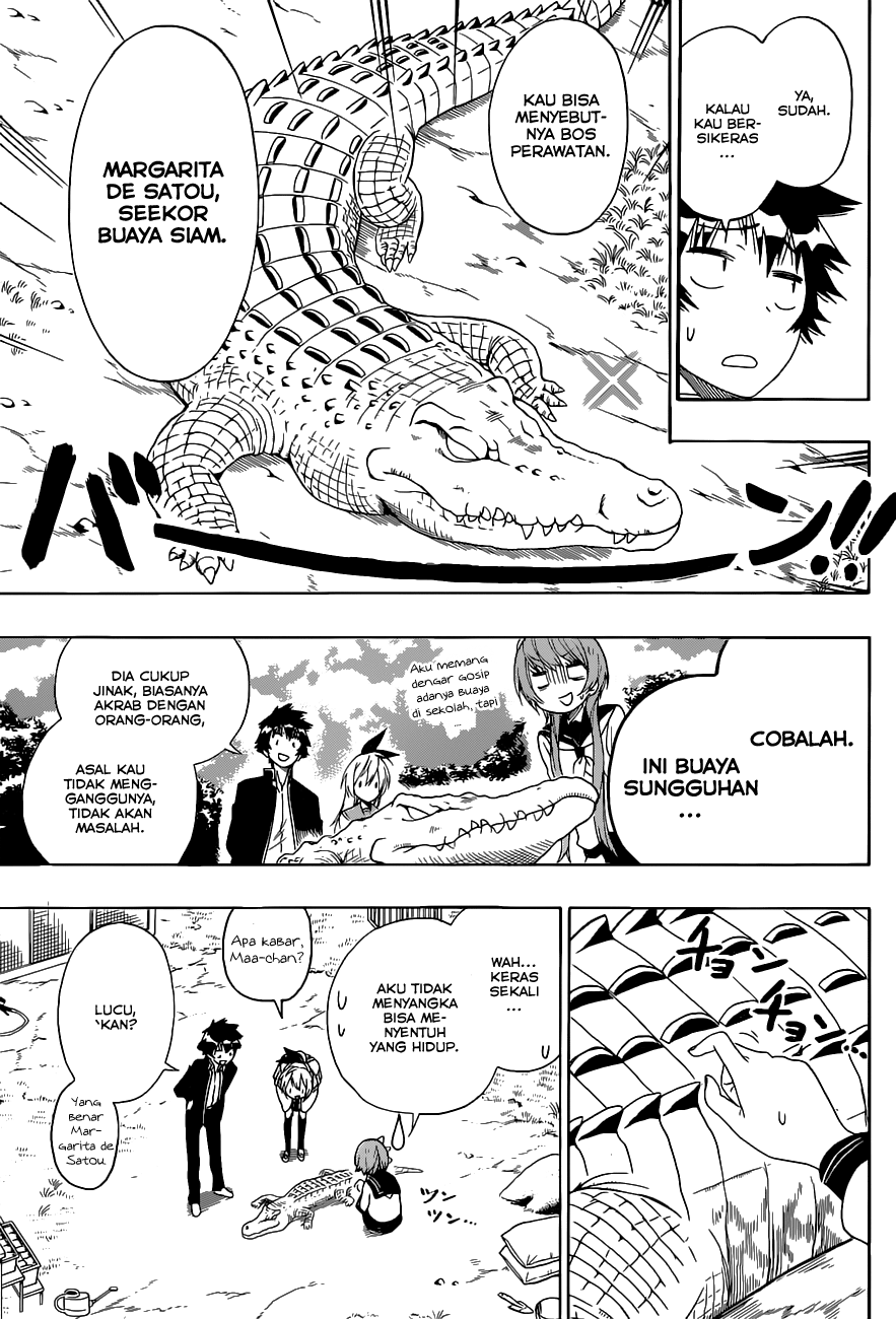 Nisekoi Chapter 142 - halaman 11