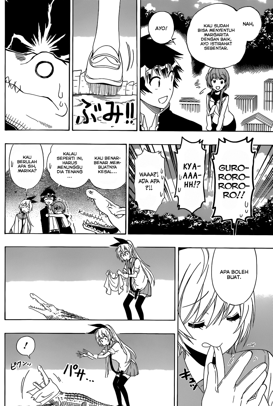 Nisekoi Chapter 142 - halaman 12