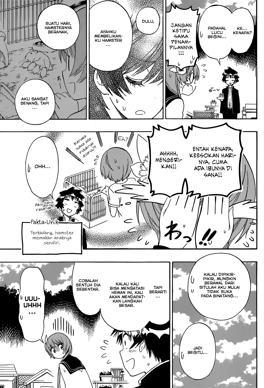 Nisekoi Chapter 142 - halaman 15
