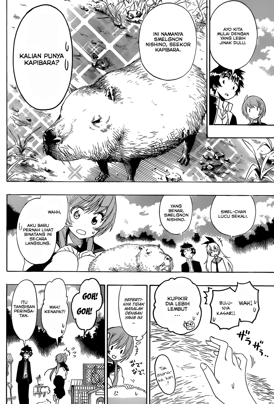 Nisekoi Chapter 142 - halaman 6