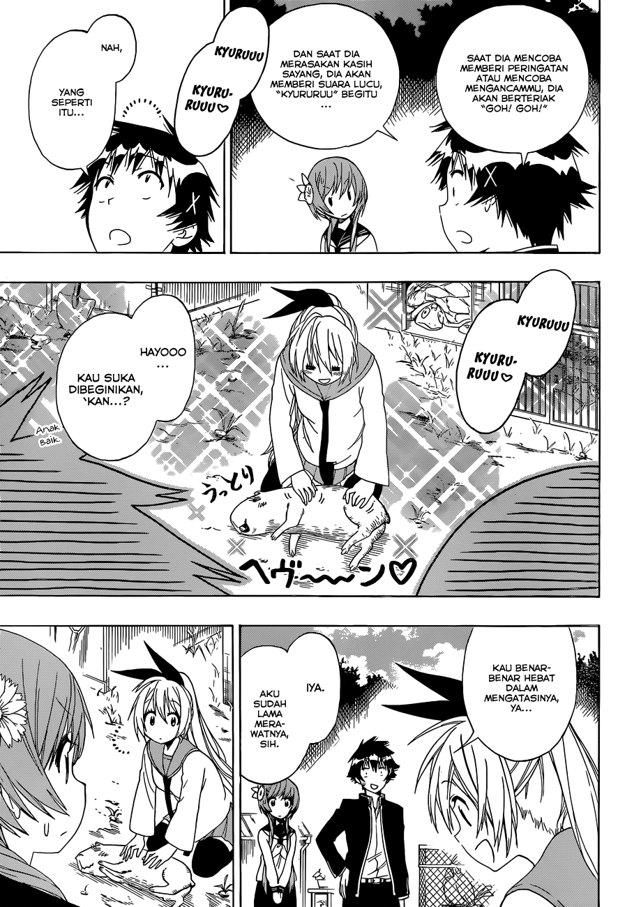 Nisekoi Chapter 142 - halaman 7