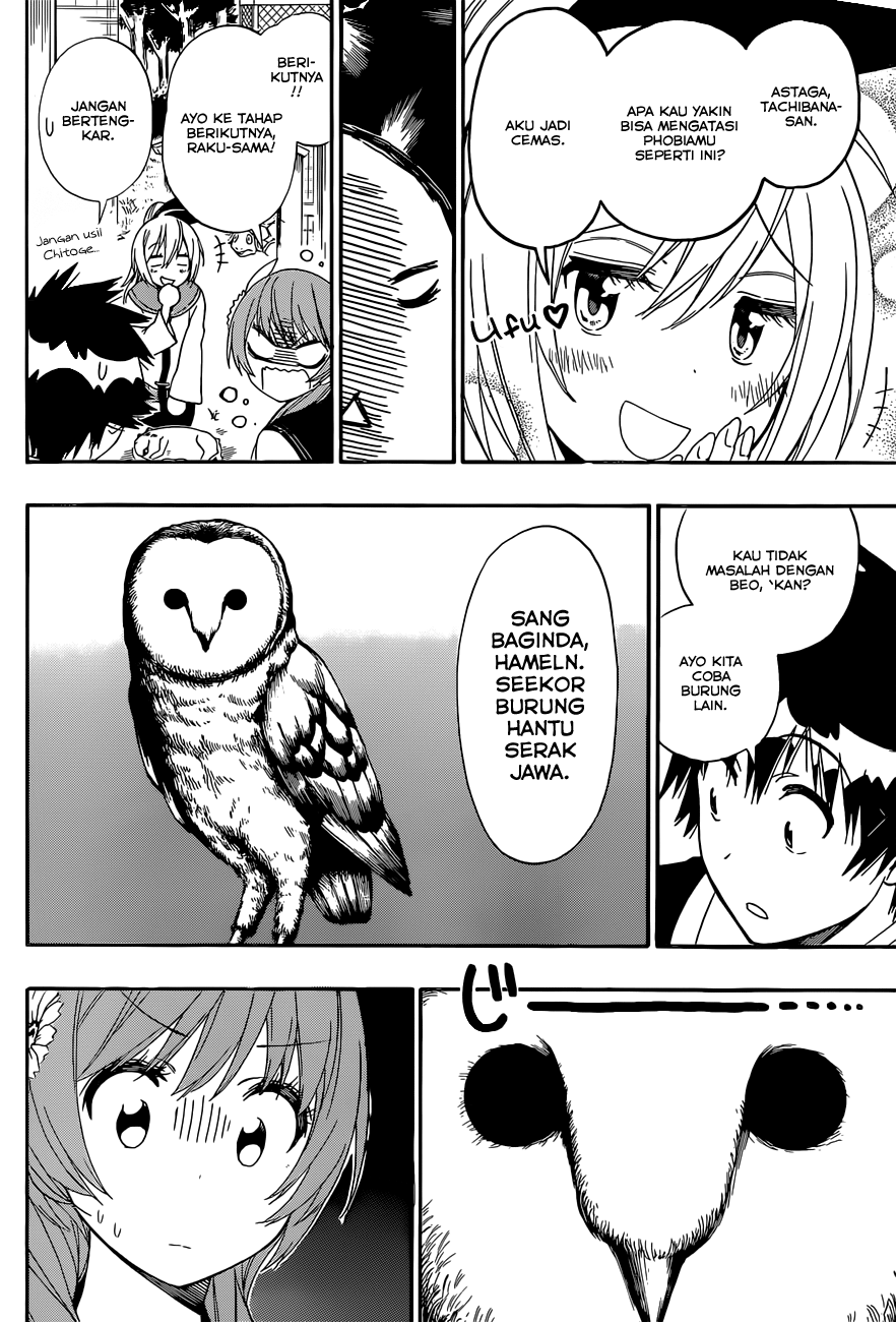 Nisekoi Chapter 142 - halaman 8