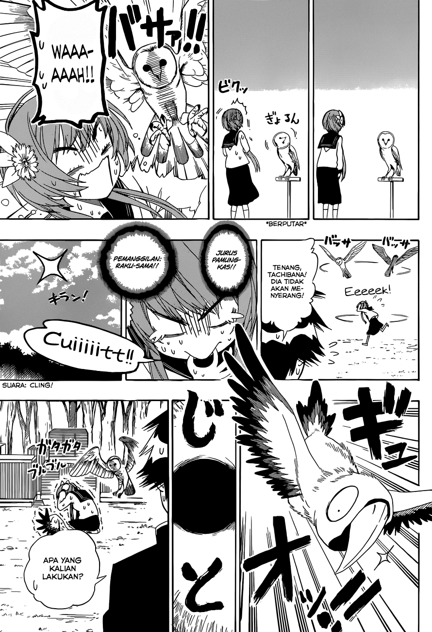 Nisekoi Chapter 142 - halaman 9
