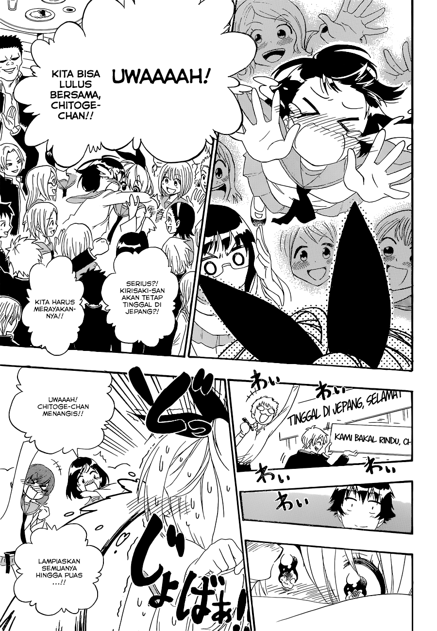 Nisekoi Chapter 162 - halaman 11