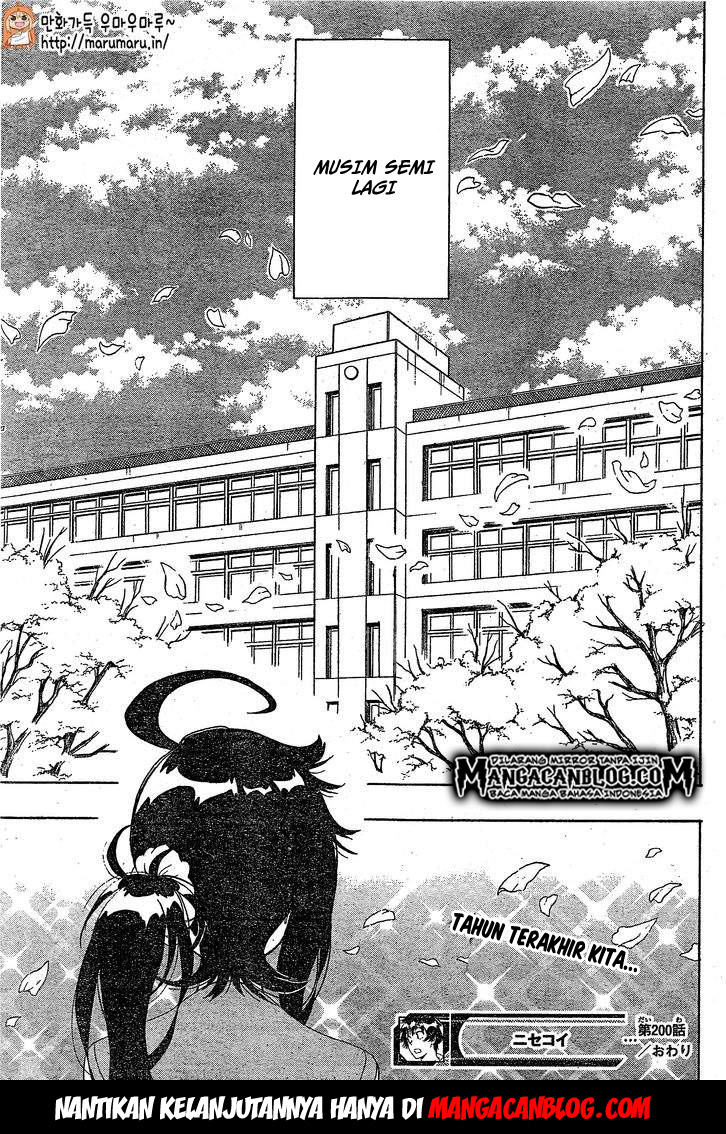 Nisekoi Chapter 200 - halaman 18