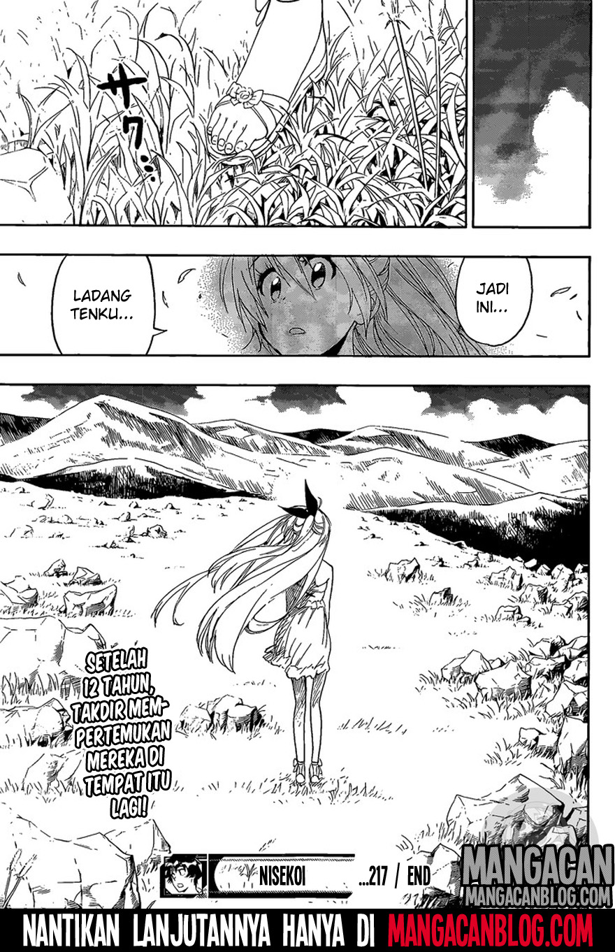 Nisekoi Chapter 217 - halaman 19