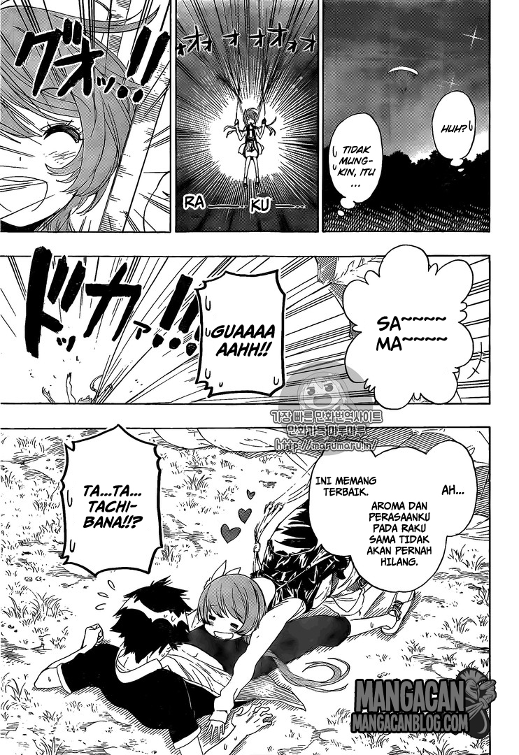 Nisekoi Chapter 219 - halaman 11