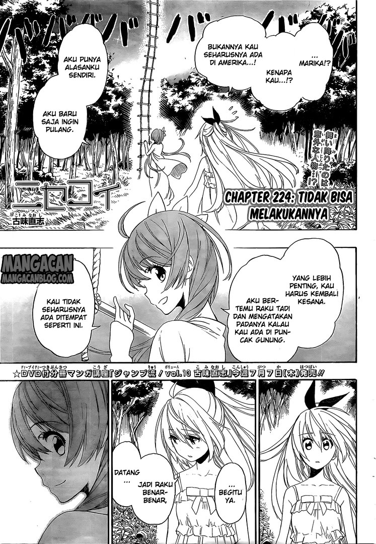 Nisekoi Chapter 224 - halaman 1