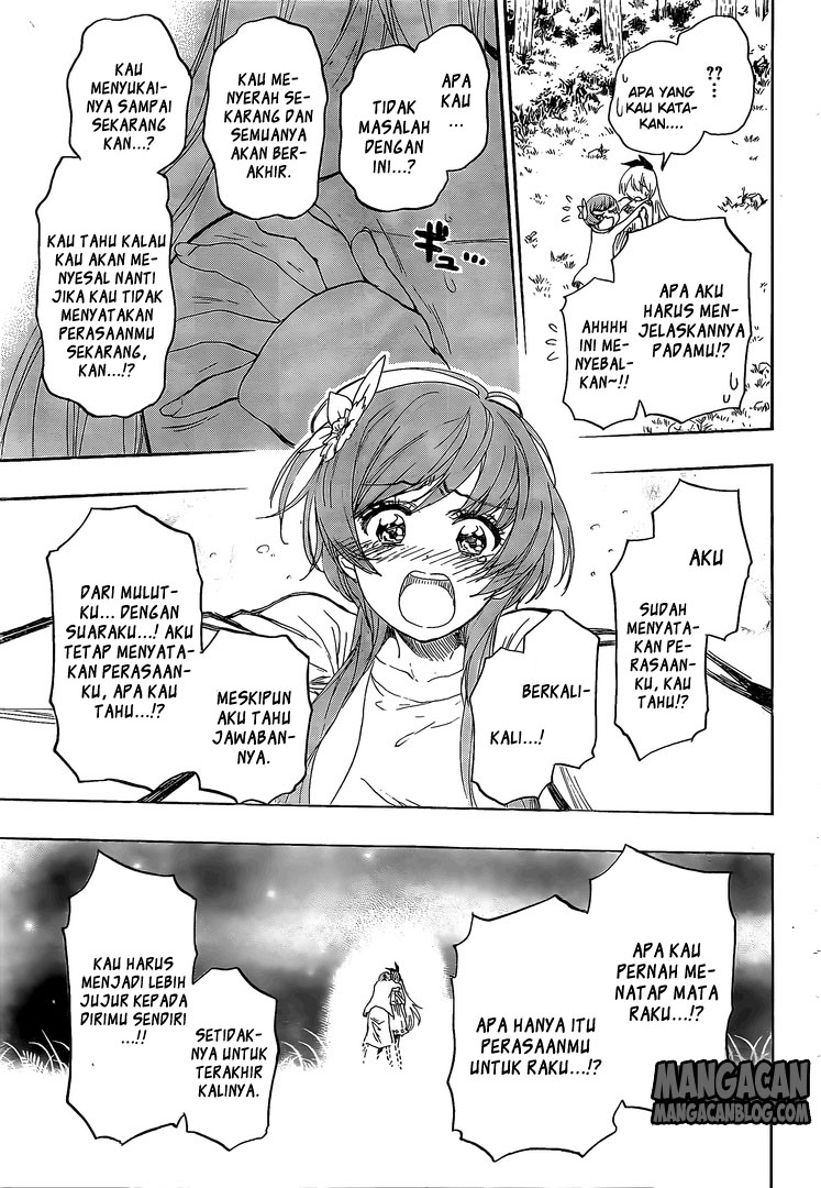 Nisekoi Chapter 224 - halaman 11