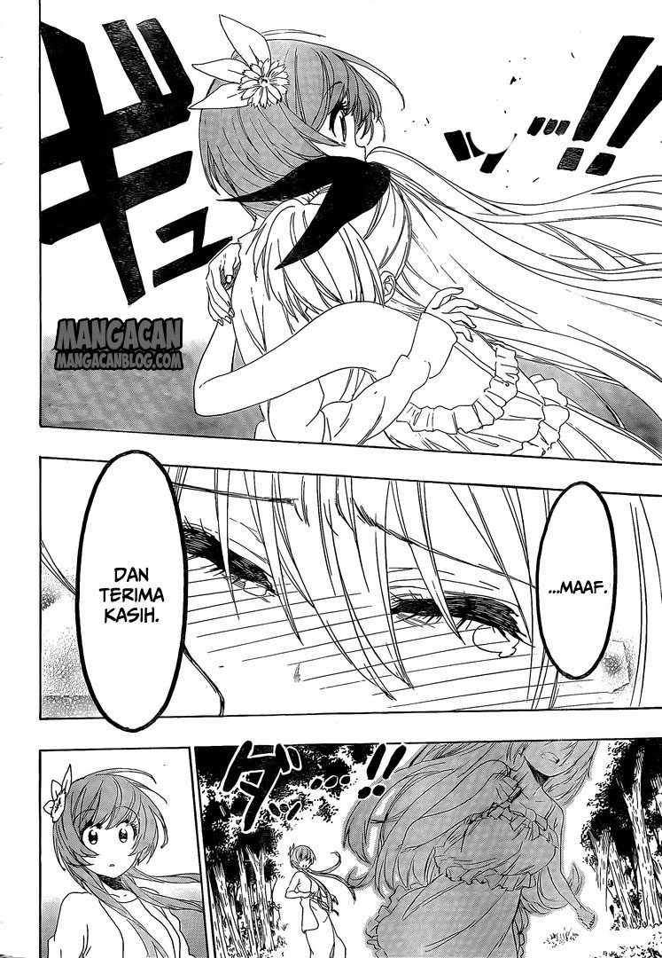 Nisekoi Chapter 224 - halaman 14