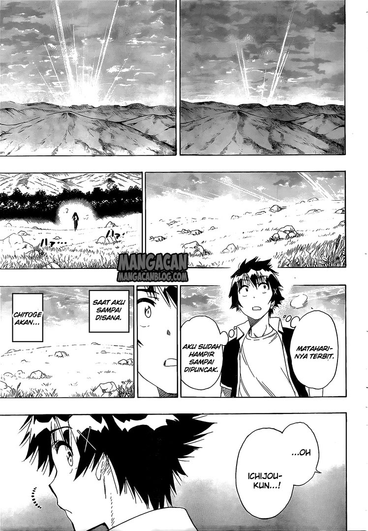 Nisekoi Chapter 224 - halaman 17