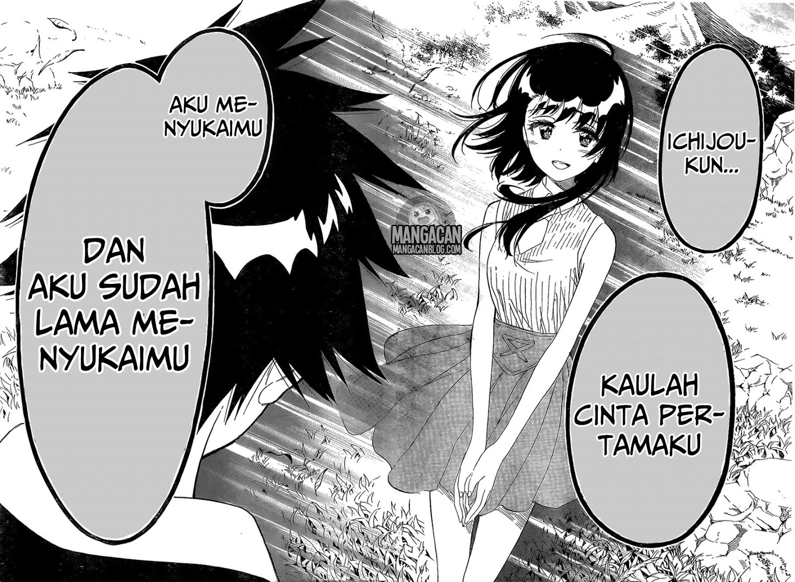 Nisekoi Chapter 225 - halaman 11