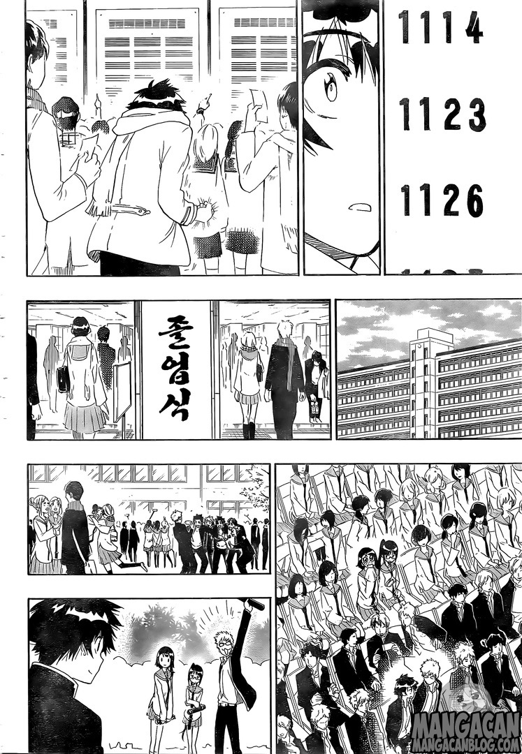 Nisekoi Chapter 228 - halaman 18