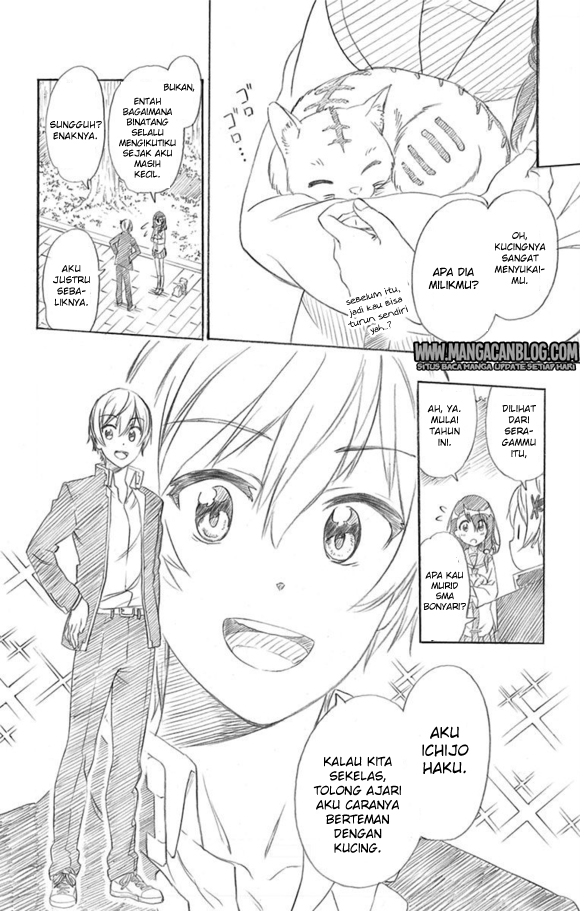 Nisekoi Chapter 229.5 - halaman 3