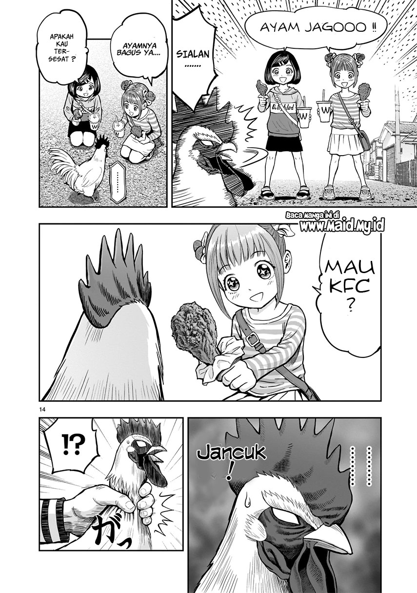 Niwatori Fighter Chapter 1 - halaman 17