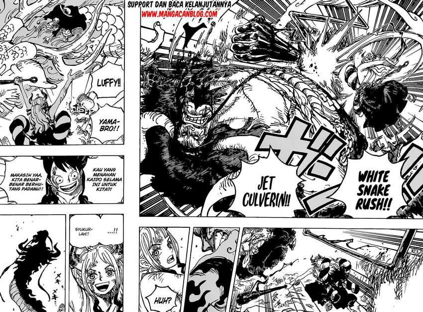 One Piece Chapter 1025 - halaman 14
