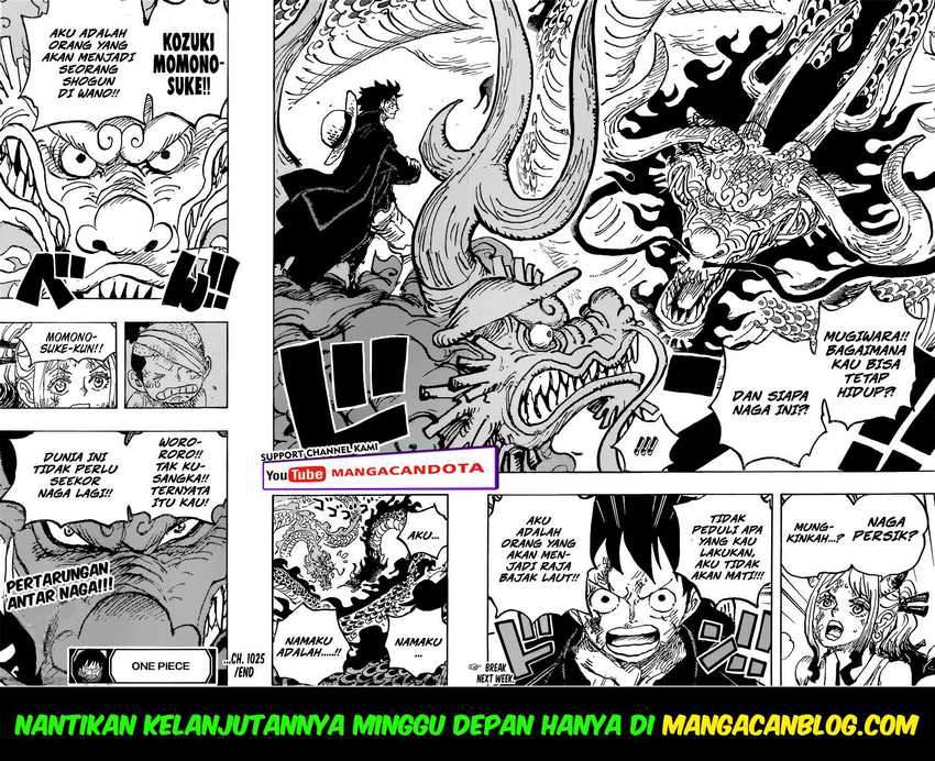One Piece Chapter 1025 - halaman 15