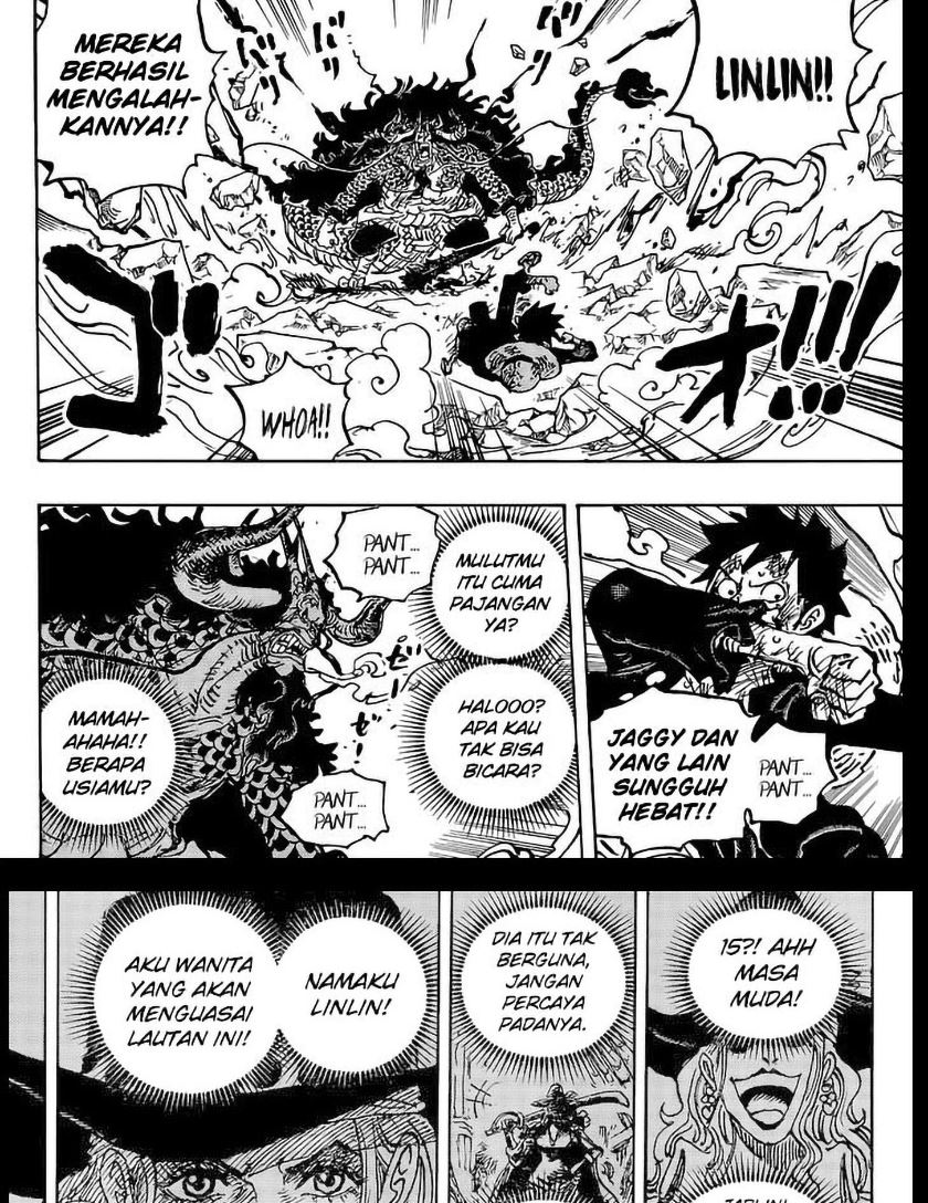 One Piece Chapter 1041 - halaman 17