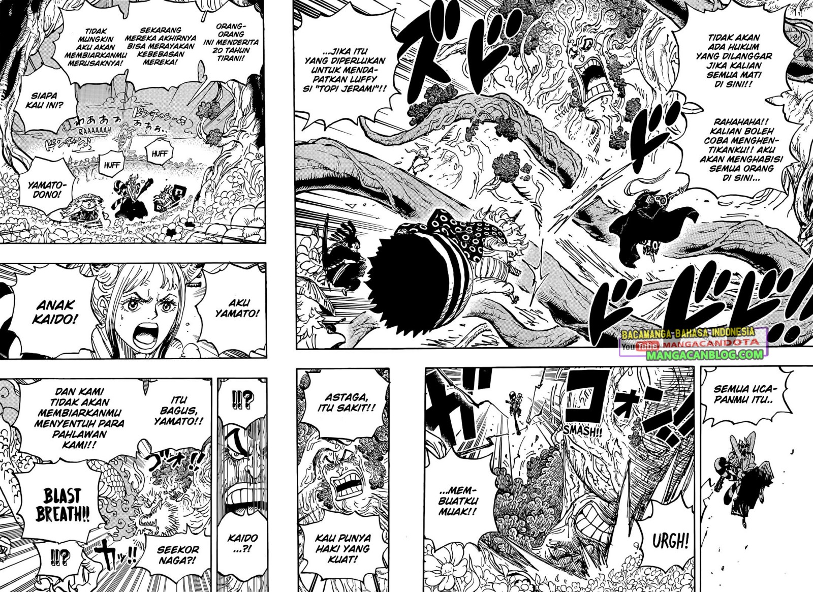 One Piece Chapter 1054 - halaman 5