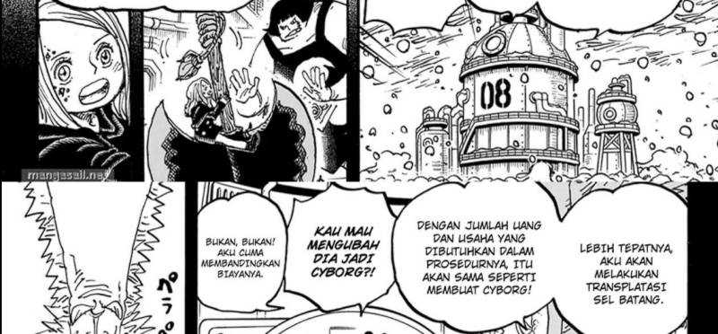 One Piece Chapter 1099 - halaman 41