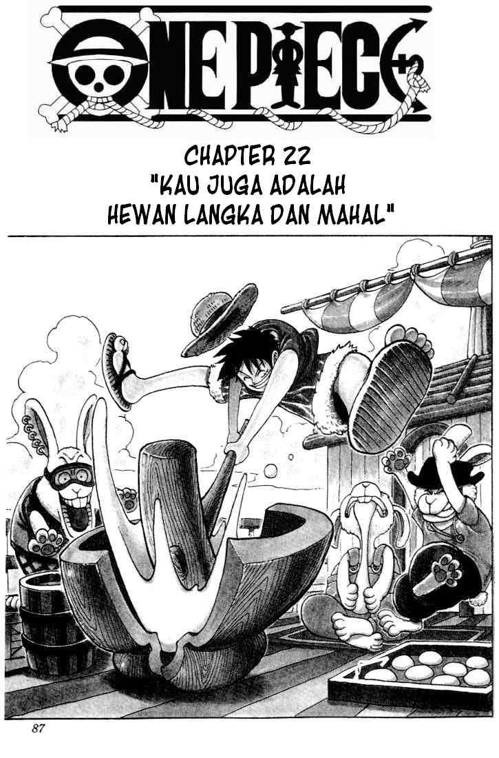 One Piece Chapter 22 - halaman 1